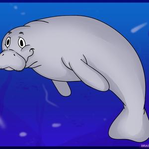 Fundraising Page: Team Manatees